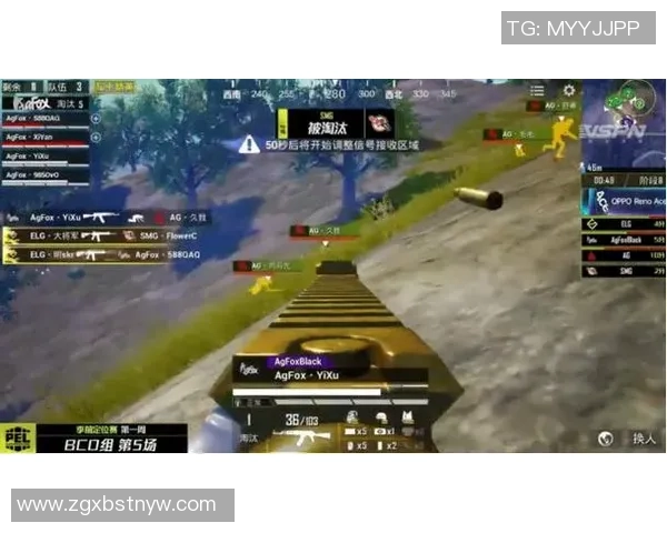 热议和平精英RNG战队如何实现力量的全面变革与突破